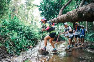 BIB: 
                            <button type="button" onclick="openModal(25373272)" class="btn btn-primary btn-sm float-right btn-popup" data-toggle="modal" data-target=".modal-high-quality">
                        <i class="fas fa-shopping-cart"></i> Add to Cart
                    </button>
                                            <button type="button" onclick="isThisMe(25373272, true)" class="btn btn-success btn-sm float-right btn-popup btn-isme hidden" data-toggle="tooltip" data-placement="bottom" title="นี่คือรูปของคุณใช่ไหม คลิกที่นี่เพื่อเอาเข้าอัลบั้ม">
                        <i class="fas fa-plus"></i> Add to album
                    </button>
                    <button type="button" onclick="isThisMe(25373272, false)" class="btn btn-warning btn-sm float-right btn-popup btn-isnotme hidden">
                        <i class="fas fa-ban"></i> Remove from album
                    </button>